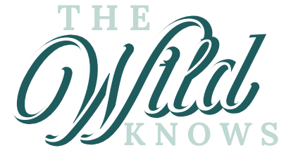 The Wild Knows – Raw Healing, Quiet Strength, Wild Truth